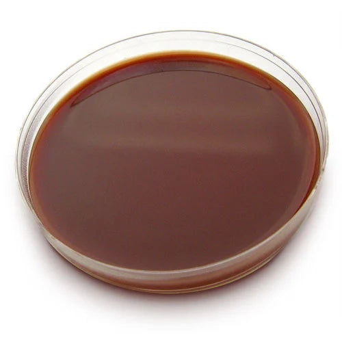 Chocolate Agar