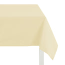 Tovaglia TNT Coprimacchia 100 pezzi