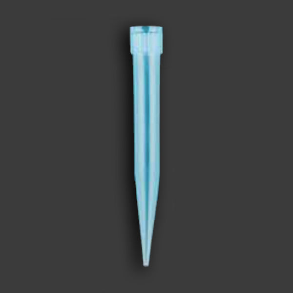 PUNTALE TIPO EPPENDORF-GILSON-BRAND-SOCOREX 200 a 1000 µl