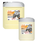 PLANZ ACD DISINCROSTANTE FOSFONITRICO TANICA 24 KG